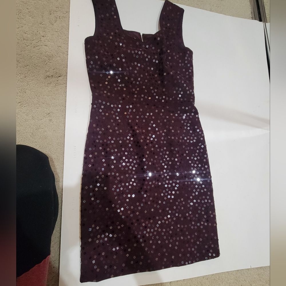 Lily Samii Women's dress size 6 Plum sequins